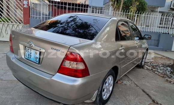 Comprar Usado Toyota Mark X ZiO De outros Carro em Caia em Sofala Comprar Usado Toyota Mark X ZiO De outros Carro em Caia em Sofala