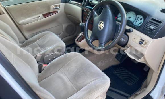 Tenga Tsaru Toyota Spacio Chena Mota in Chemba in Sofala Tenga Tsaru Toyota Spacio Chena Mota in Chemba in Sofala