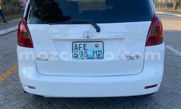 Tenga Tsaru Toyota Spacio Chena Mota in Chemba in Sofala Tenga Tsaru Toyota Spacio Chena Mota in Chemba in Sofala