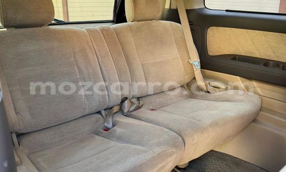 Tenga Tsaru Toyota Alphard Sirivha Mota in Maputo in Maputo Tenga Tsaru Toyota Alphard Sirivha Mota in Maputo in Maputo