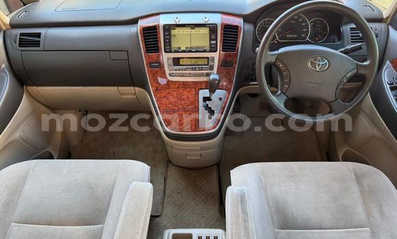 Tenga Tsaru Toyota Alphard Sirivha Mota in Maputo in Maputo Tenga Tsaru Toyota Alphard Sirivha Mota in Maputo in Maputo