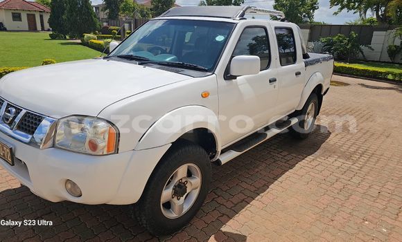 Nunua Ilio tumika Nissan Hardbody Nyeupe Gari ndani ya Maputo nchini Maputo Nunua Ilio tumika Nissan Hardbody Nyeupe Gari ndani ya Maputo nchini Maputo