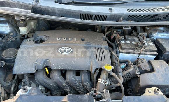 Nunua Ilio tumika Toyota Ractis Bluu Gari ndani ya Maputo nchini Maputo Nunua Ilio tumika Toyota Ractis Bluu Gari ndani ya Maputo nchini Maputo