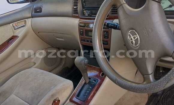 Tenga Tsaru Toyota Corolla Zvimwe Mota in Maputo in Maputo Tenga Tsaru Toyota Corolla Zvimwe Mota in Maputo in Maputo