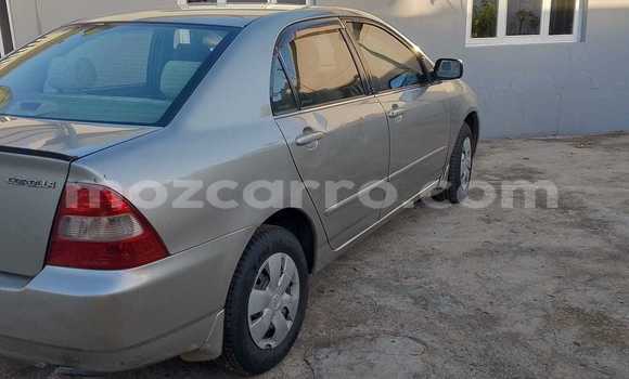 Tenga Tsaru Toyota Corolla Zvimwe Mota in Maputo in Maputo Tenga Tsaru Toyota Corolla Zvimwe Mota in Maputo in Maputo