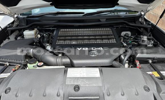 Comprar Usado Toyota Land Cruiser Branco Carro em Maputo em Maputo Comprar Usado Toyota Land Cruiser Branco Carro em Maputo em Maputo