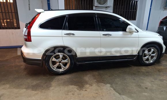 Tenga Tsaru Honda CR-V Chena Mota in Maputo in Maputo Tenga Tsaru Honda CR-V Chena Mota in Maputo in Maputo