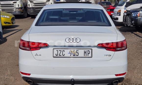 Comprar Usado Audi A4 Branco Carro em Maputo em Maputo Comprar Usado Audi A4 Branco Carro em Maputo em Maputo