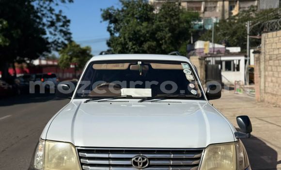 Buy Used Toyota Prado White Car in Maputo in Maputo