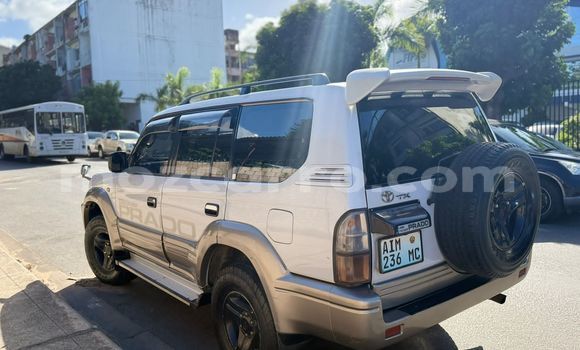 Tenga Tsaru Toyota Prado Chena Mota in Maputo in Maputo Tenga Tsaru Toyota Prado Chena Mota in Maputo in Maputo