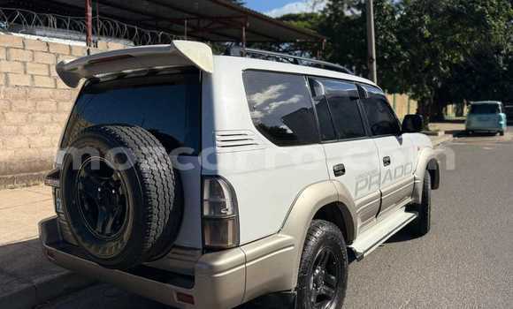 Buy Used Toyota Land Cruiser Prado Other Car in Maputo in Maputo Buy Used Toyota Land Cruiser Prado Other Car in Maputo in Maputo
