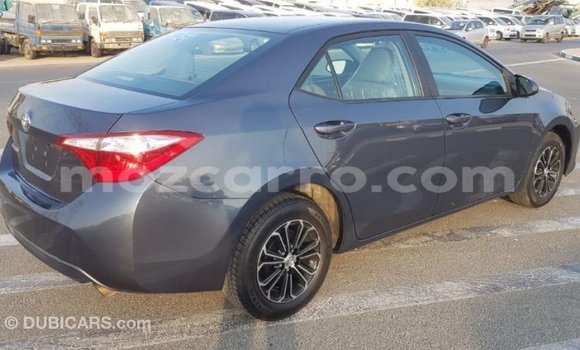 Comprar Importar Toyota Corolla De outros Carro em Import - Dubai em Cabo Delgado Comprar Importar Toyota Corolla De outros Carro em Import - Dubai em Cabo Delgado