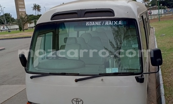 Tenga Tsaru Toyota Coaster Zvimwe Mota in Maputo in Maputo Tenga Tsaru Toyota Coaster Zvimwe Mota in Maputo in Maputo