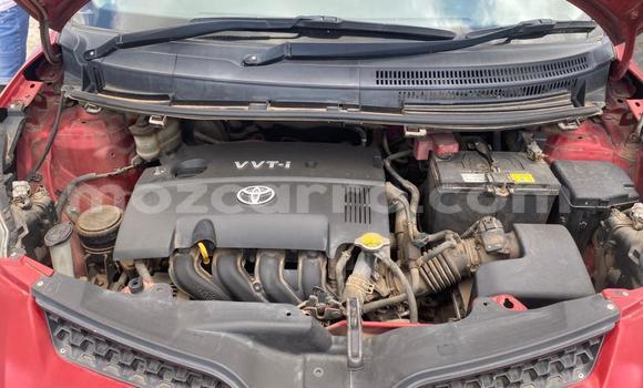 Comprar Usado Toyota IST Vermelho Carro em Maputo em Maputo Comprar Usado Toyota IST Vermelho Carro em Maputo em Maputo