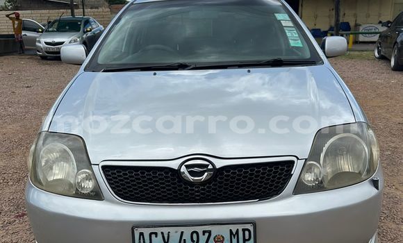 Tenga Tsaru Toyota Runx Sirivha Mota in Maputo in Maputo Tenga Tsaru Toyota Runx Sirivha Mota in Maputo in Maputo