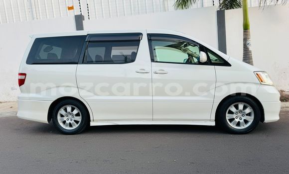 Tenga Tsaru Toyota Alphard Chena Mota in Maputo in Maputo Tenga Tsaru Toyota Alphard Chena Mota in Maputo in Maputo