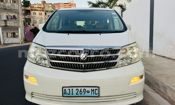 Tenga Tsaru Toyota Alphard Chena Mota in Maputo in Maputo Tenga Tsaru Toyota Alphard Chena Mota in Maputo in Maputo