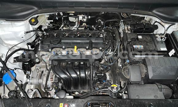 Buy New Hyundai Creta Other Car in Maputo in Maputo Buy New Hyundai Creta Other Car in Maputo in Maputo