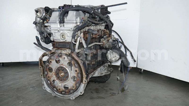 Big with watermark s l9604