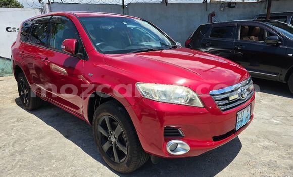 Comprar Novo Toyota Vanguard Vermelho Carro em Maputo em Maputo