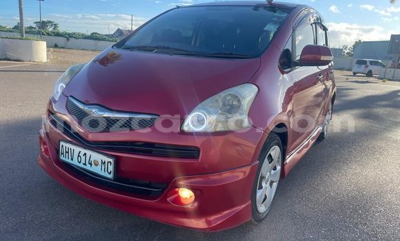 Tenga Tsaru Toyota Ractis Tsvuku Mota in Maputo in Maputo Tenga Tsaru Toyota Ractis Tsvuku Mota in Maputo in Maputo