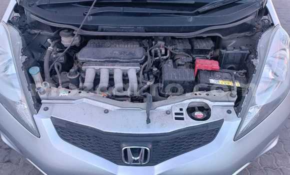 Tenga Tsaru Honda Fit Zvimwe Mota in Maputo in Maputo Tenga Tsaru Honda Fit Zvimwe Mota in Maputo in Maputo