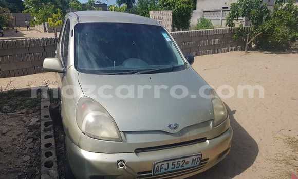 Tenga Tsaru AC Ace Beige Mota in Maputo in Maputo Tenga Tsaru AC Ace Beige Mota in Maputo in Maputo