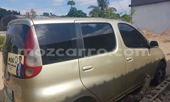 Tenga Tsaru AC Ace Beige Mota in Maputo in Maputo Tenga Tsaru AC Ace Beige Mota in Maputo in Maputo