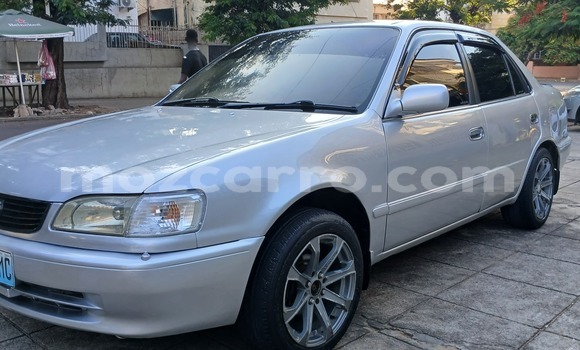 Tenga Tsaru Toyota Corolla Sirivha Mota in Maputo in Maputo Tenga Tsaru Toyota Corolla Sirivha Mota in Maputo in Maputo