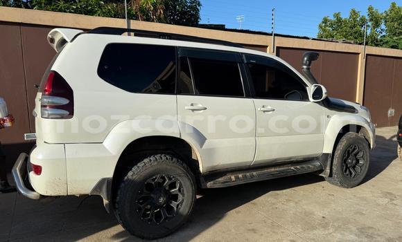 Nunua Ilio tumika Toyota Land Cruiser Prado Nyeupe Gari ndani ya Maputo nchini Maputo Nunua Ilio tumika Toyota Land Cruiser Prado Nyeupe Gari ndani ya Maputo nchini Maputo