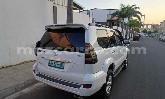 Tenga Tsaru Toyota Prado Chena Mota in Maputo in Maputo Tenga Tsaru Toyota Prado Chena Mota in Maputo in Maputo