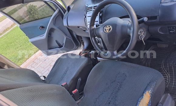 Buy Used Toyota Vitz Silver Car in Maputo in Maputo Buy Used Toyota Vitz Silver Car in Maputo in Maputo