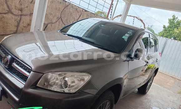 Buy Used Toyota RAV4 Silver Car in Maputo in Maputo Buy Used Toyota RAV4 Silver Car in Maputo in Maputo