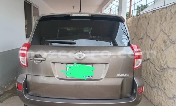 Comprar Usado Toyota RAV4 Castanho Carro em Maputo em Maputo Comprar Usado Toyota RAV4 Castanho Carro em Maputo em Maputo