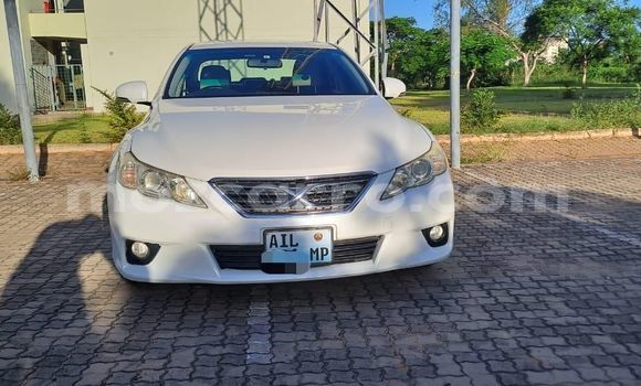 Tenga Tsaru Toyota Mark X Chena Mota in Maputo in Maputo Tenga Tsaru Toyota Mark X Chena Mota in Maputo in Maputo