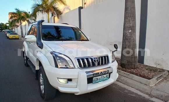 Tenga Tsaru Toyota Land Cruiser Prado Chena Mota in Maputo in Maputo Tenga Tsaru Toyota Land Cruiser Prado Chena Mota in Maputo in Maputo