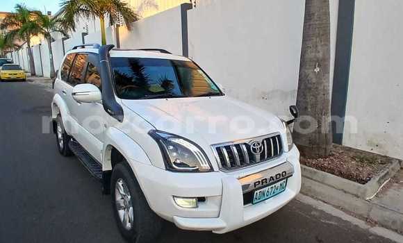 Tenga Tsaru Toyota Land Cruiser Prado Chena Mota in Maputo in Maputo Tenga Tsaru Toyota Land Cruiser Prado Chena Mota in Maputo in Maputo