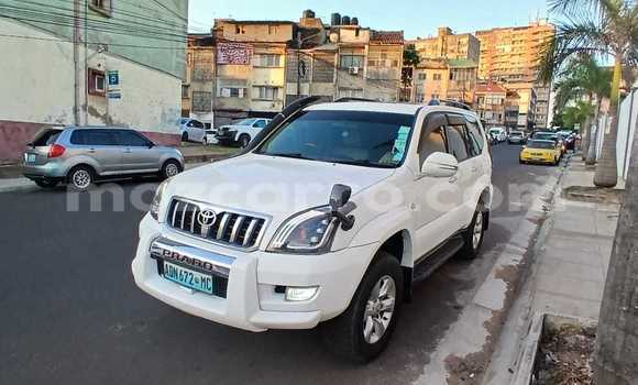 Tenga Tsaru Toyota Land Cruiser Prado Chena Mota in Maputo in Maputo Tenga Tsaru Toyota Land Cruiser Prado Chena Mota in Maputo in Maputo