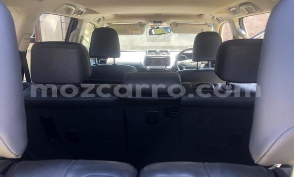 Tenga Tsaru Toyota Land Cruiser Prado Chena Mota in Maputo in Maputo Tenga Tsaru Toyota Land Cruiser Prado Chena Mota in Maputo in Maputo