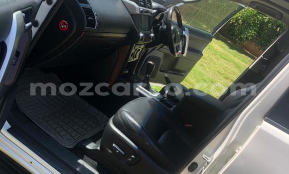 Tenga Tsaru Toyota Land Cruiser Prado Chena Mota in Maputo in Maputo Tenga Tsaru Toyota Land Cruiser Prado Chena Mota in Maputo in Maputo