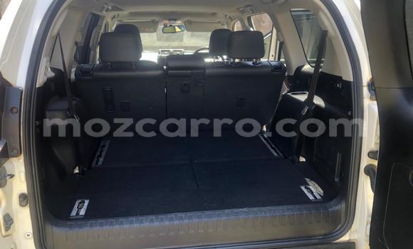 Tenga Tsaru Toyota Land Cruiser Prado Chena Mota in Maputo in Maputo Tenga Tsaru Toyota Land Cruiser Prado Chena Mota in Maputo in Maputo