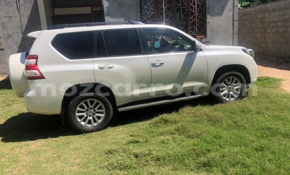 Tenga Tsaru Toyota Land Cruiser Prado Chena Mota in Maputo in Maputo Tenga Tsaru Toyota Land Cruiser Prado Chena Mota in Maputo in Maputo