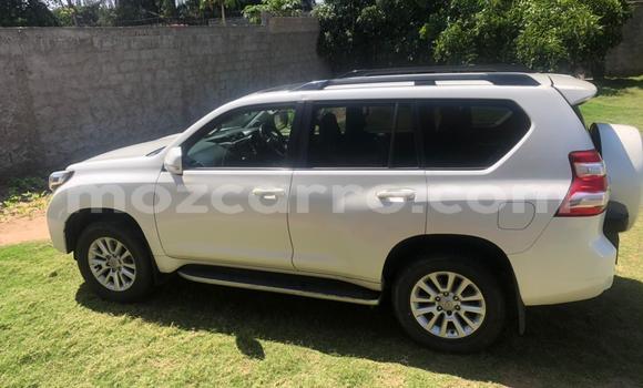 Tenga Tsaru Toyota Land Cruiser Prado Chena Mota in Maputo in Maputo Tenga Tsaru Toyota Land Cruiser Prado Chena Mota in Maputo in Maputo