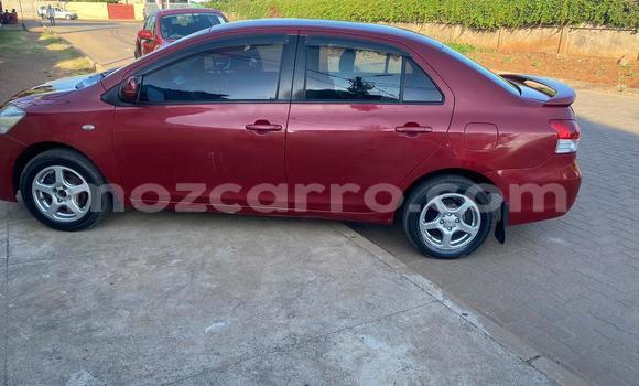 Tenga Tsaru Toyota Belta Tsvuku Mota in Maputo in Maputo Tenga Tsaru Toyota Belta Tsvuku Mota in Maputo in Maputo