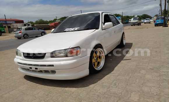 Buy Used Toyota Corolla White Car in Maputo in Maputo Buy Used Toyota Corolla White Car in Maputo in Maputo