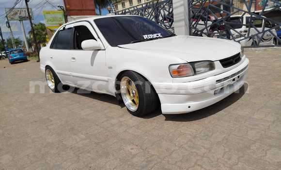 Buy Used Toyota Corolla White Car in Maputo in Maputo Buy Used Toyota Corolla White Car in Maputo in Maputo