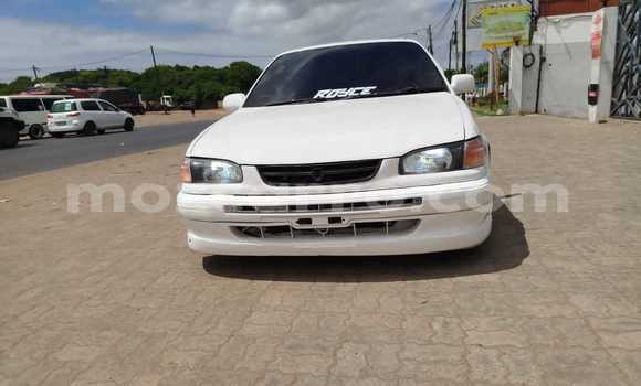 Buy Used Toyota Corolla White Car in Maputo in Maputo Buy Used Toyota Corolla White Car in Maputo in Maputo