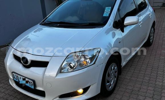 Tenga Tsaru Toyota Auris Chena Mota in Maputo in Maputo Tenga Tsaru Toyota Auris Chena Mota in Maputo in Maputo