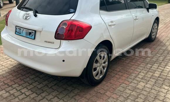 Tenga Tsaru Toyota Auris Chena Mota in Maputo in Maputo Tenga Tsaru Toyota Auris Chena Mota in Maputo in Maputo