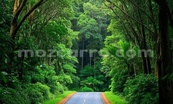 Comprar Usado Toyota Mark X Branco Carro em Maputo em Maputo Comprar Usado Toyota Mark X Branco Carro em Maputo em Maputo